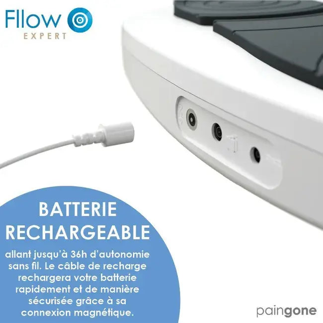 Paingone Fllow Expert - vue 4