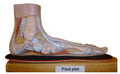 Semelles orthopédiques sur mesure pour pieds plats / sur RDV